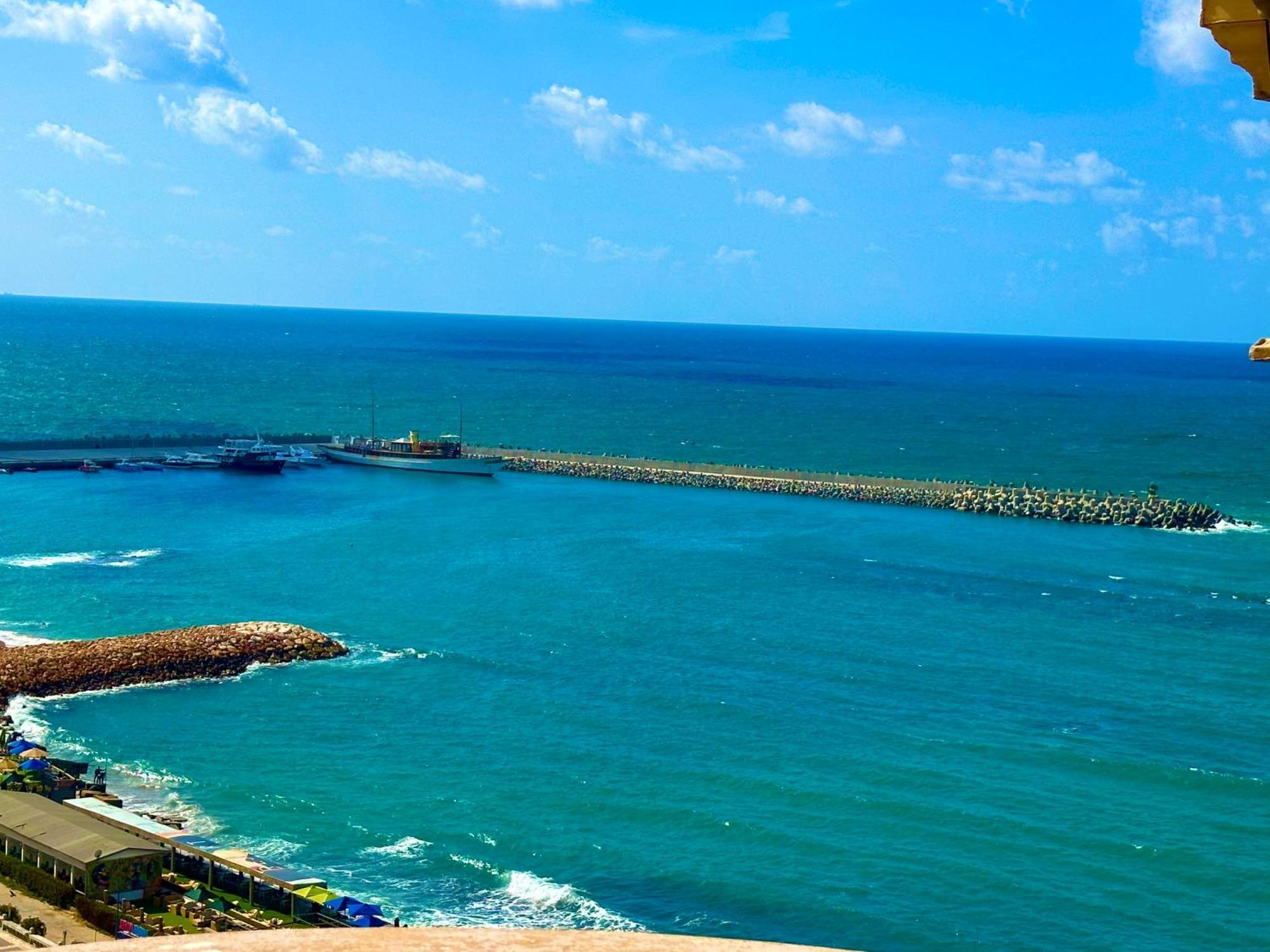 Clara Apartment Alexandria